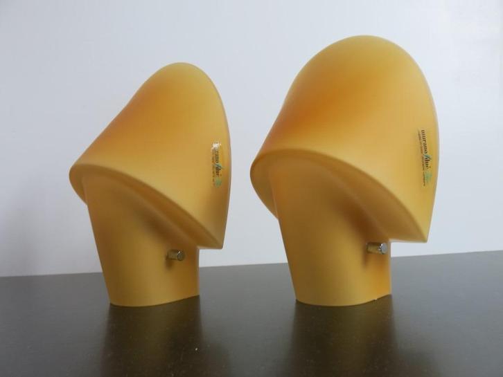 Pinna Wandlamp in Murano Glas  Federico Codato, Huis en Inrichting, Lampen | Wandlampen, Zo goed als nieuw, Glas, Ophalen of Verzenden