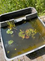 Terrasvijvertje, Tuin en Terras, Ophalen, Gebruikt
