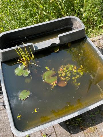 Terrasvijvertje beschikbaar voor biedingen