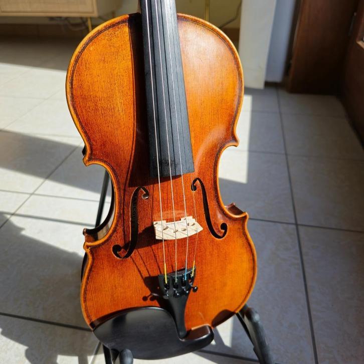 Viool 4/4 naar Guarnerius de Gesù, Muziek en Instrumenten, Strijkinstrumenten | Violen en Altviolen, Zo goed als nieuw, Viool