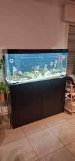 Ciano aquarium compleet 1m20, Dieren en Toebehoren, Ophalen, Zo goed als nieuw