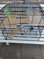 Hamster kooi zo goed als nieuw, Enlèvement, Cage, Hamster