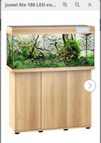 Juwel Rio 180 met meubel, Enlèvement, Utilisé, Aquarium d'eau douce rempli