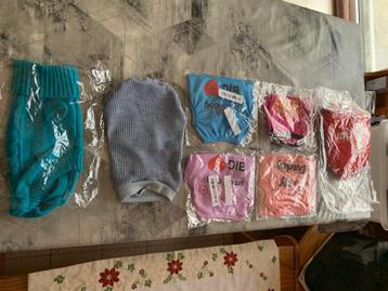 honden pups beschikbaar voor biedingen