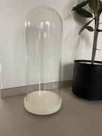 Glazen stolp, Huis en Inrichting, Woonaccessoires | Stolpen, Ophalen, Zo goed als nieuw