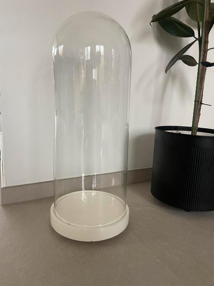 Glazen stolp, Huis en Inrichting, Woonaccessoires | Stolpen, Zo goed als nieuw, Ophalen