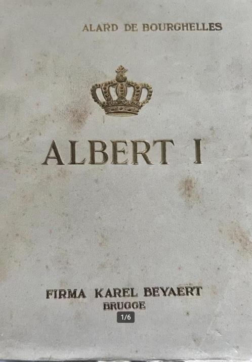 Albert I - Zijn leven, zijn regeering, Livres, Histoire nationale, Utilisé, Enlèvement ou Envoi