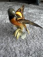 Porcelein Hutchenreuther vogel, Ophalen of Verzenden