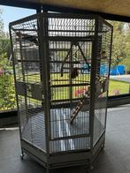 Cage Perroquet, Dieren en Toebehoren, Ophalen of Verzenden, Zo goed als nieuw, Aluminium, Vogelkooi