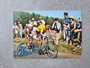 Postkaart Eddy Merckx gesigneerd beschikbaar voor biedingen