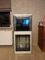 Zeer goed onderhouden zeeaquarium, Enlèvement