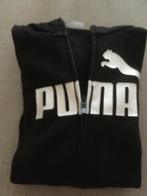 Puma sweater met kap maat 13-14 jaar, Puma, Garçon ou Fille, Pull ou Veste, Enlèvement