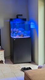 Red Sea MAX NANO G2 Cube incl. zwart meubel, Ophalen