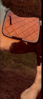 Dressuur setje dekje+peesbeschermers, Dieren en Toebehoren, Ophalen of Verzenden, Zo goed als nieuw, Dekje