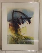 Ets van >>> VREDEGOOR HANS - GEVALLEN 2 - Opl.28/35 <<< 1991, Antiek en Kunst, Kunst | Etsen en Gravures, Ophalen