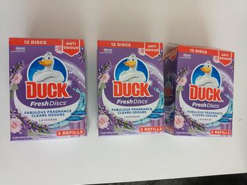 Fresh duck  beschikbaar voor biedingen