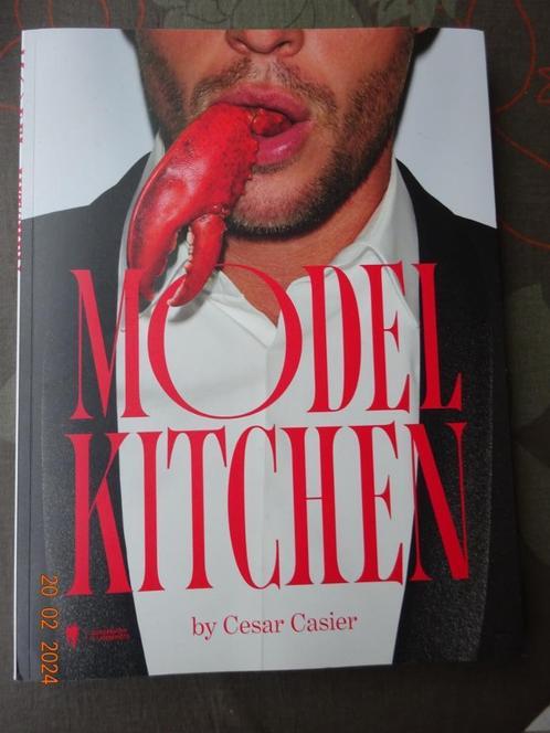 Model Kitchen by Cesar Casier* NIEUW*Met prachtige foto's  !, Livres, Livres de cuisine, Neuf, Enlèvement ou Envoi