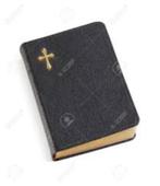 La renouée du Japon., Boeken, Godsdienst en Theologie, Christendom | Protestants, Autre, Ophalen, Gelezen