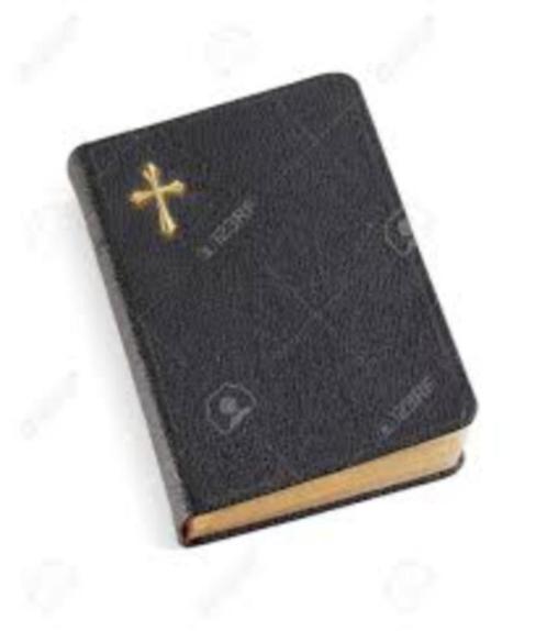 La renouée du Japon., Boeken, Godsdienst en Theologie, Gelezen, Christendom | Protestants, Ophalen