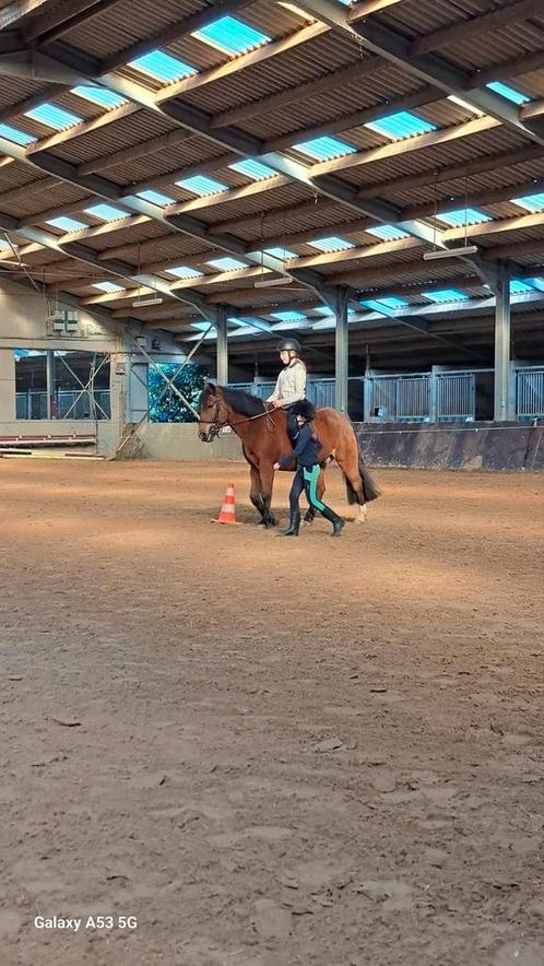 Leçons d'équitation 4 à 99 ans, Dieren en Toebehoren, Paarden en Pony's | Overige Paardenspullen, Zo goed als nieuw, Dressuur