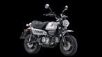 Honda Z125 MONKEY 125 Z 125 (année de construction 2025), Motos, Motos | Honda, Entreprise, 125 cm³, Jusqu'à 11 kW, Autre