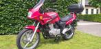 Honda CB 500 sport in nieuw staat, Motos, Motos | Honda, Plus de 35 kW, 2 cylindres, Particulier, 500 cm³