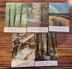 Postkaarten postkaart natuur spreuk spreuken msc, Verzamelen, Ophalen of Verzenden