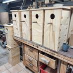 Allerlei Nestkasten, Dieren en Toebehoren, Dwergpapegaai of Agapornis