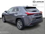 Lexus UX 300e Executive Line & EV drive & TO, Auto's, Lexus, Automaat, 5 deurs, SUV of Terreinwagen, https://public.car-pass.be/vhr/f8120528-22c7-4516-8392-dde0e9d69c65