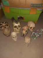 Doodskoppen ,skulls, Enlèvement