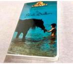 The Black Stallion VHS 1994 Mickey Rooney Teri Video-band, Alle leeftijden, Ophalen of Verzenden, Nieuw in verpakking