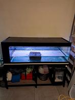 Aquarium 150x60x50 hauteur