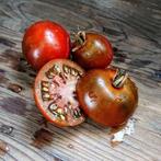 Sucre brun - Graines de tomates, Envoi