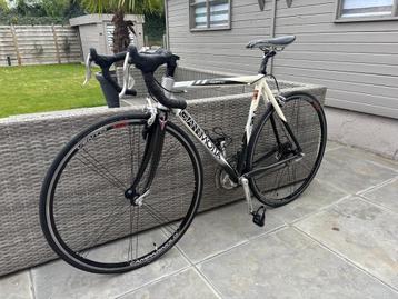 koersfiets '' 54'' 10speed Gianni Motta perfecte staat beschikbaar voor biedingen