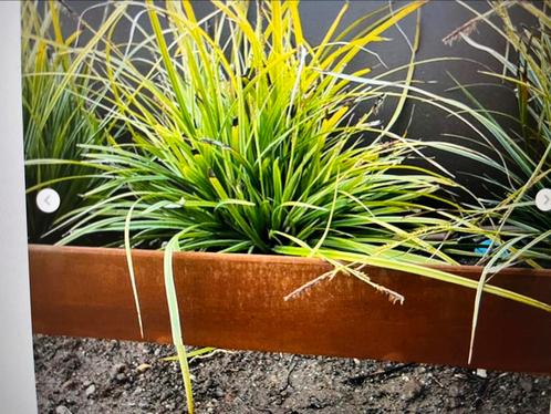 Cortenstaal borderline 10 meter afgeronde bovenkant, Tuin en Terras, Bielzen en Borduren, Nieuw, Border, Overige materialen, Minder dan 25 cm