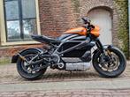 Harley Davidson LiveWire, Motoren, Particulier