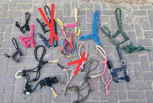 Vele halsters, Dieren en Toebehoren, Paarden en Pony's | Overige Paardenspullen, Zo goed als nieuw, Ophalen of Verzenden