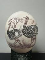 Vintage struisvogelei gegraveerd, Ophalen of Verzenden