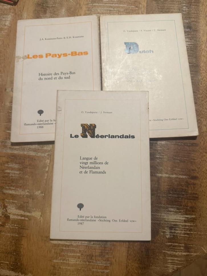 Les Pays-Bas / Dutch / Le Néerlandais - Flemish-Netherlands, Boeken, Politiek en Maatschappij, Gelezen, Maatschappij en Samenleving