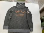 Grijze trui jongens, Gebruikt, Trui of Vest, Ophalen of Verzenden, JBC.