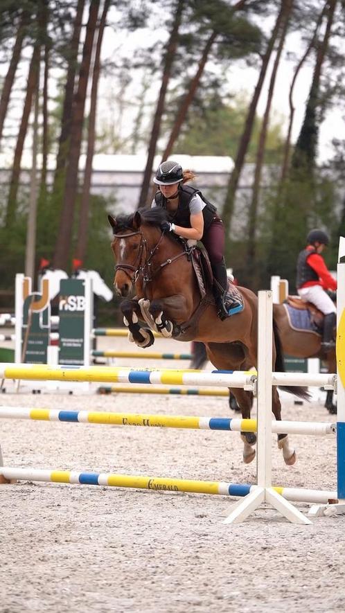 D springpony te koop, Dieren en Toebehoren, Pony's, Merrie, D pony (1.37m tot 1.48m), Springpony, 3 tot 6 jaar, Met stamboom, Gechipt