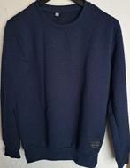 Blauwe Trui Maat S, Ophalen of Verzenden, Gedragen, Maat 46 (S) of kleiner, Blauw