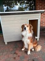 Mooi hondenhok, zo goed als nieuw, Dieren en Toebehoren, Hondenhokken, Ophalen, Zo goed als nieuw, Hondenhok