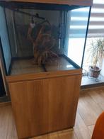 Aquarium, Animaux & Accessoires, Enlèvement, Comme neuf, Aquarium vide