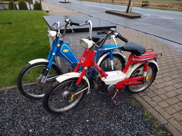 Honda's te koop, Enlèvement