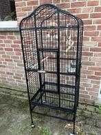 PAPEGAAIENKOOI MET OPEN DAK ENTOEBEHOREN 150 EURO, Dieren en Toebehoren, Vogels | Hokken en Kooien, Ophalen, Zo goed als nieuw