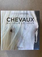 Chevaux Au Jour le Jour, Nieuw, Paarden of Pony's
