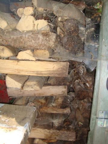 bois de chauffage ( buches ) + insert ( cassette a bois ) beschikbaar voor biedingen