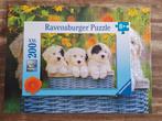 Ravensburger puzzel 200 XXL schattige puppies, Kinderen en Baby's, Speelgoed | Kinderpuzzels, Gebruikt, Ophalen of Verzenden