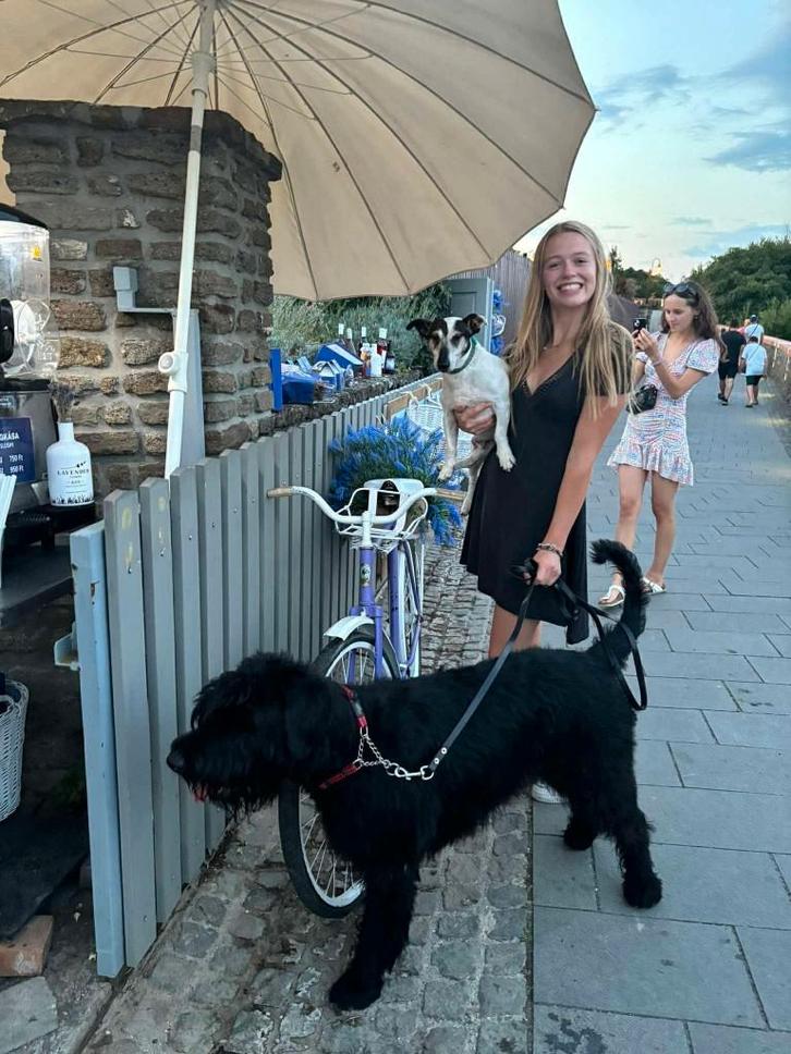 Garde d'animaux, Animaux & Accessoires, Animaux Autre, Juillet